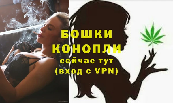 прущие грибы Нефтекумск