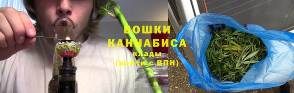 шишки Нефтегорск
