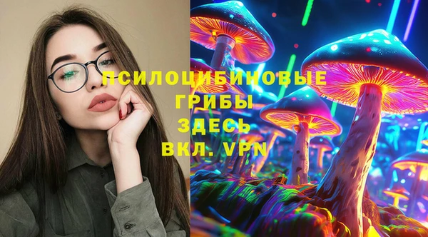 apvp Нея