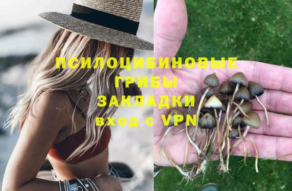 шишки Нефтегорск