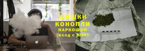 прущие грибы Нефтекумск