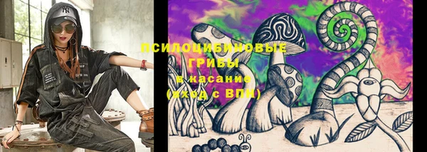 шишки Нефтегорск