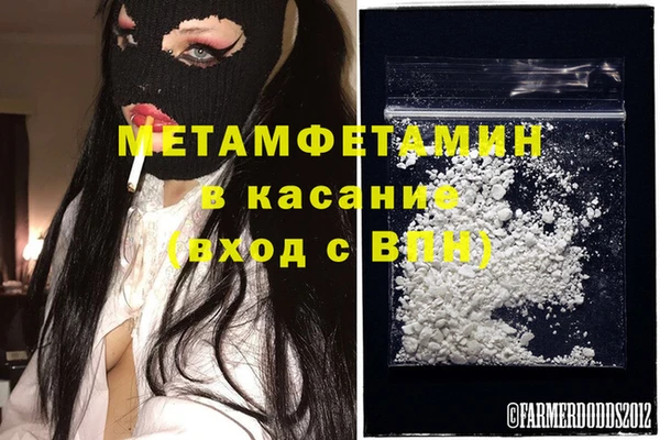 прущие грибы Нефтекумск