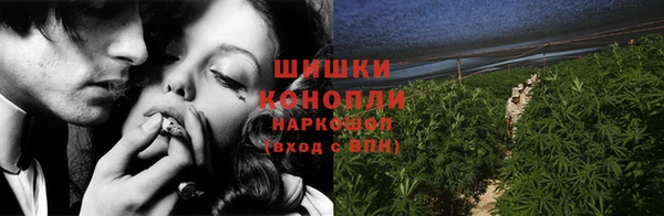 прущие грибы Нефтекумск