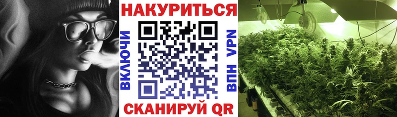 Конопля AK-47  магазин    Кукмор 